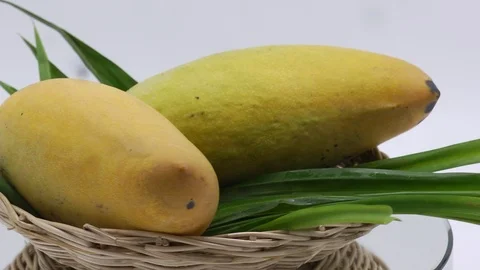 Mango on white background rotating Stock Footage 118115626