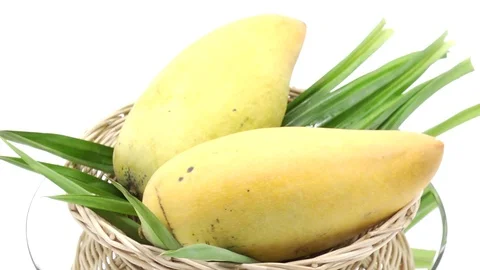 Mango on white background rotating Stock Footage 118115627