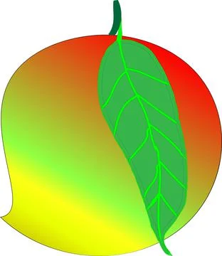Mango with white background vector -Art &amp; Illustration Illustrazione stock