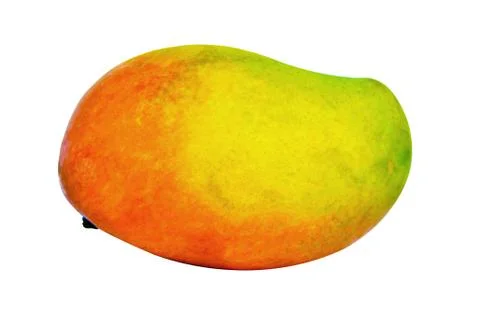 Mango on White Isolated Background Stock Photos
