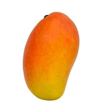 Mango on White Isolated Background Stock Photos