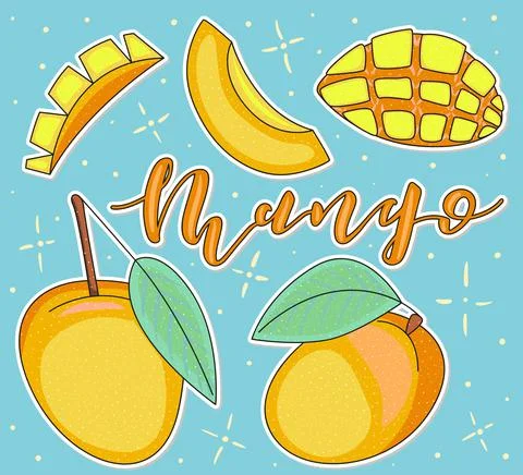 Mango - Whole and pieces. Vector stock illustration. Colored fruit set Stock Illustration