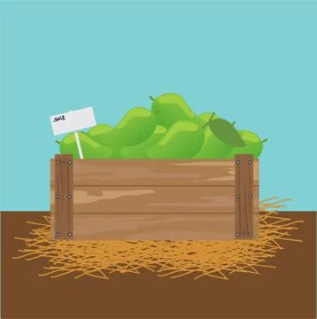 Mango in a wooden crate Stock Illustration
