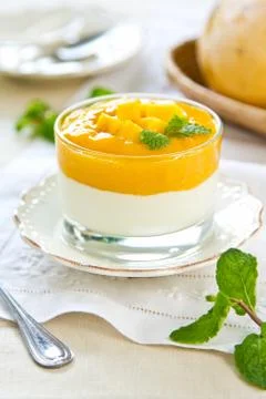 Mango  yogurt 写真素材