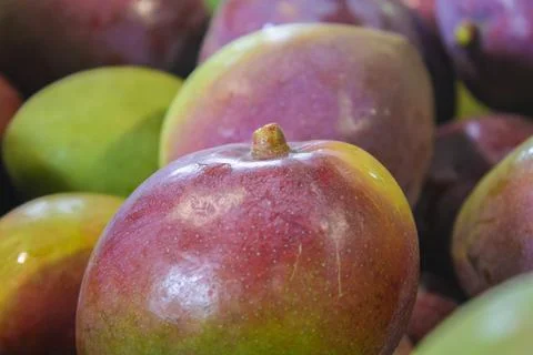 Mangoes Close up Stock Photos