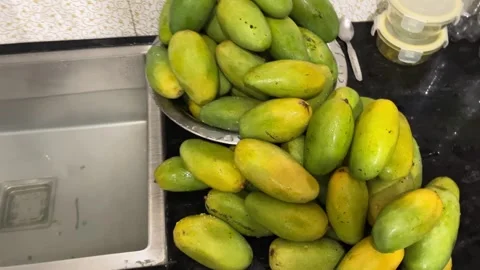 Mangoes Stock Footage 311642713