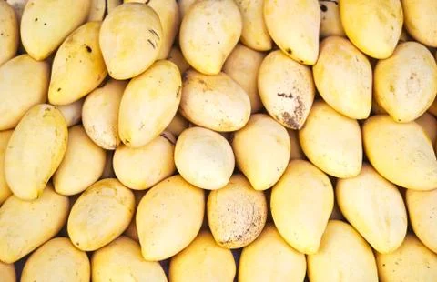 Mangoes Stock Photos