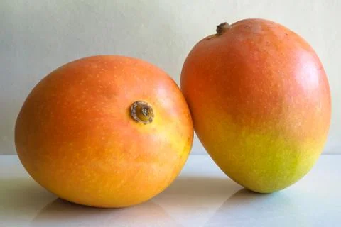 Mangoes Stock Photos
