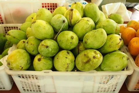 Mangoes Stock Photos