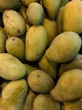 Mangoes Stock Photos