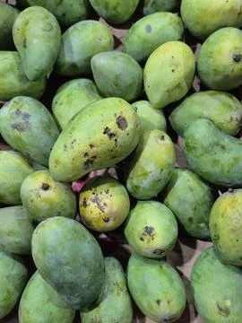 Mangoes Stock Photos