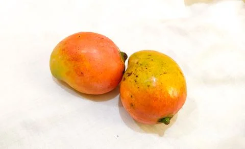 Mangoes with White background. Stock-Fotos