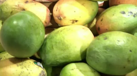 Mango's and Coconuts Pan 스톡 동영상 12599119