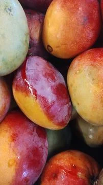 Mangos on a stand Stock Photos