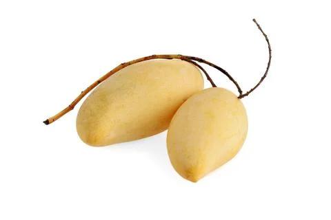 Mangos on white background Stock Photos