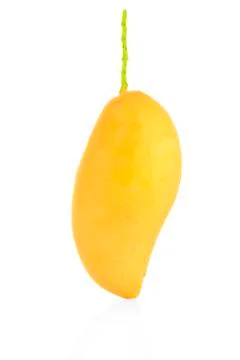Mangos on white background Stock Photos