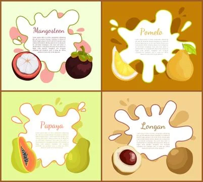 Mangosteen and Pomelo Posters Vector Illustration Stock Illustration