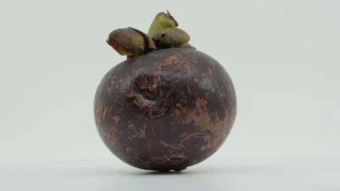 Mangosteen Stock Footage 235369486