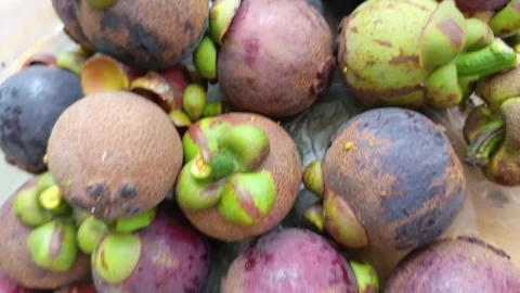 Mangosteen Stock Footage 272790438