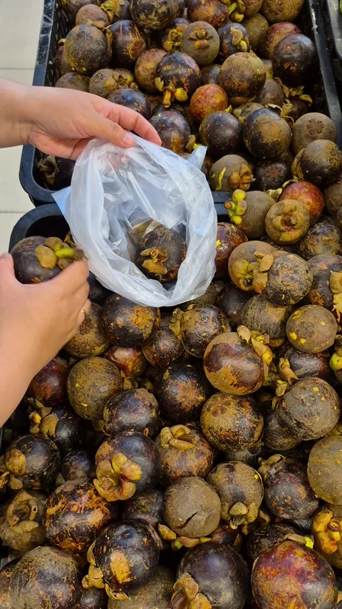 Mangosteen Stock Footage 327042402