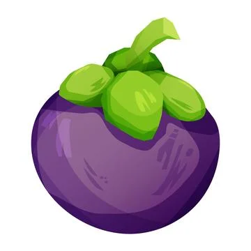 Mangosteen fruit 스톡 일러스트