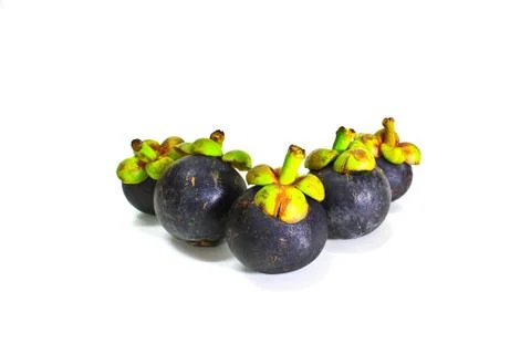 Mangosteen fruit Stock Photos