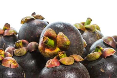 Mangosteen fruit Stock Photos