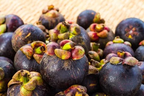 Mangosteen fruit Stock Photos