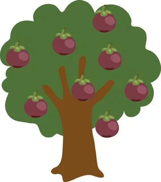 Mangosteen Fruit Tree Vector Illustration Stock Illustration