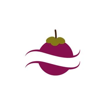 Mangosteen fruit vector design template illustration Stock Illustration