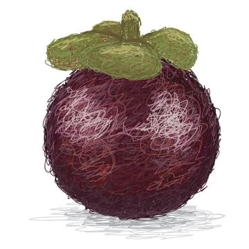 Mangosteen Stock Illustration