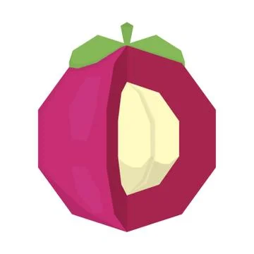 Mangosteen Stock Illustration