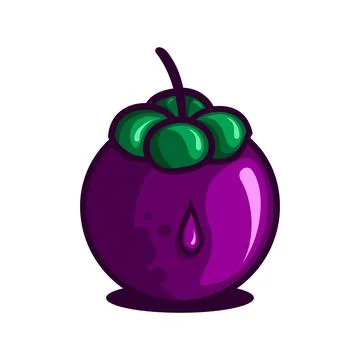 MANGOSTEEN Stock Illustration