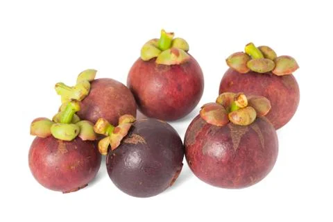 Mangosteen isolate on white background Stock Photos
