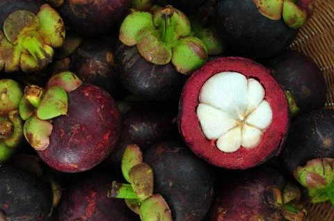 Mangosteen Foto stock
