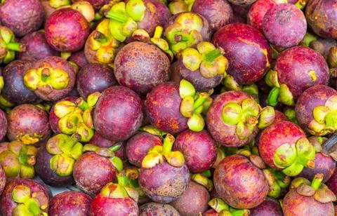 Mangosteen Stock Photos