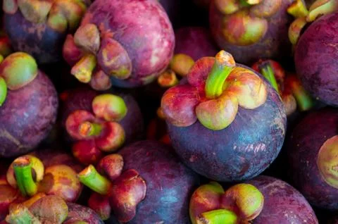 Mangosteen Stock Photos