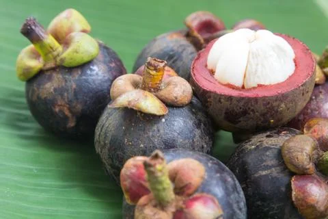 Mangosteen Stock Photos