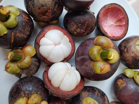 MANGOSTEEN Stock Photos