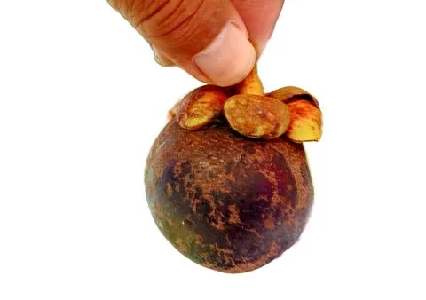 The Mangosteen, Stock Photos