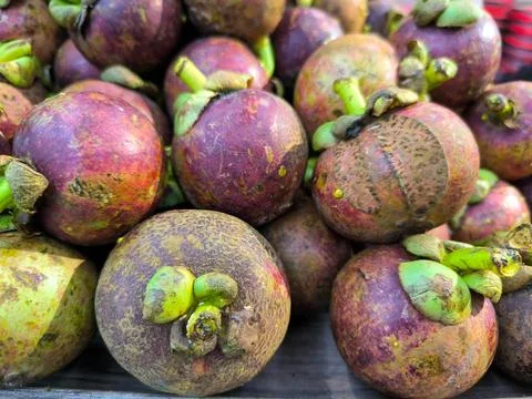 Mangosteen Foto stock