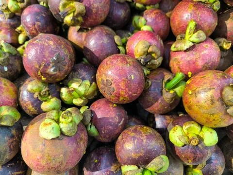 Mangosteen Foto stock