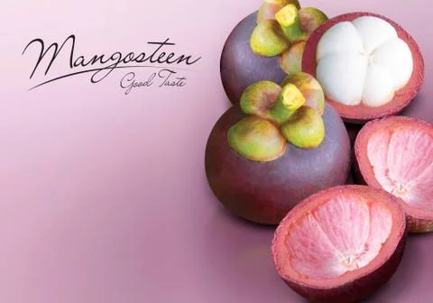 Mangosteen on purple solid background Stock Photos