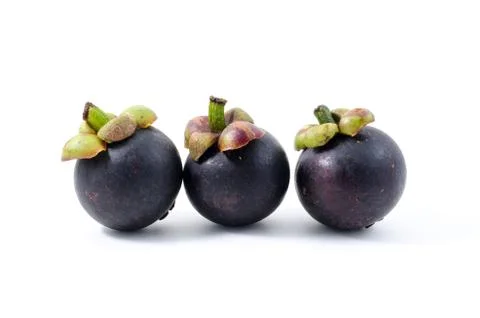 Mangosteen the queen of Thai tropical fruit with unique sweet Stock Photos
