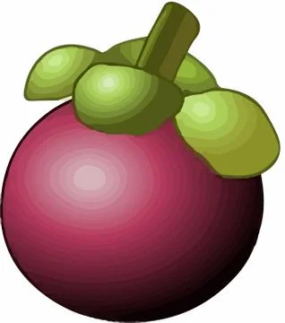 Mangosteen  vector on white background Stock Illustration