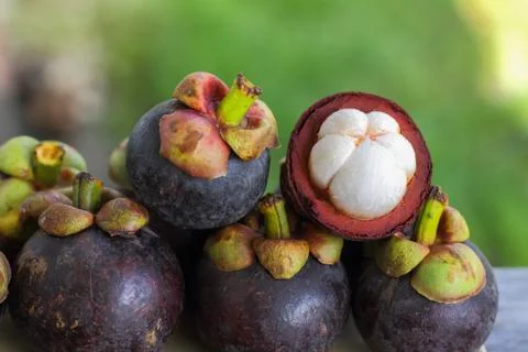 Mangosteens Stock Photos