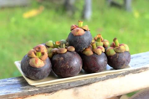 Mangosteens Фото