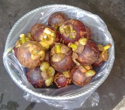 Mangostern fruit Foto stock