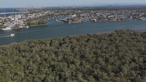 Mangrove Forest And Winding River In Paradise Point, Gold Coast, QLD Vídeos de archivo 337389230