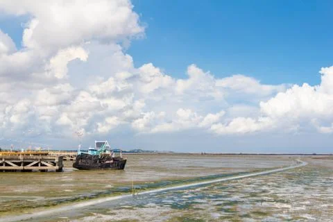 The mangrove forest with blue sky with cloud. Stock Photos